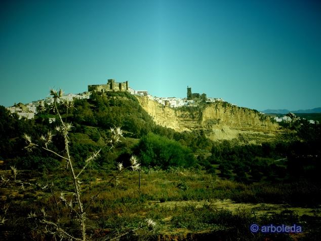 7259_10201705629134976_85179765_n