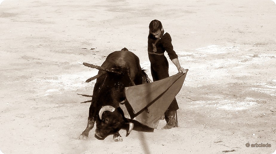 Manuel Barea El ArqueñoNew--3b