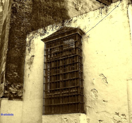 ventana san pedro_lzn2New