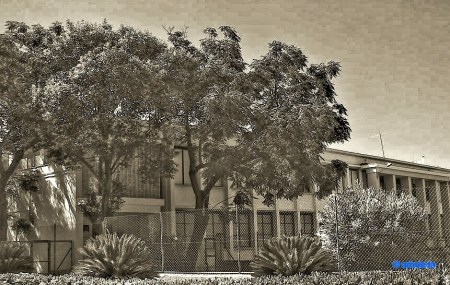 biblioteca coloma_lzn