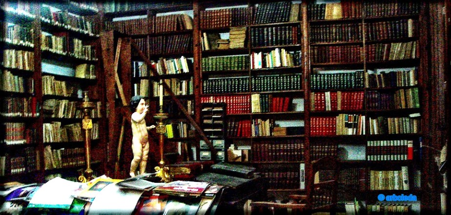 biblioteca santo domingo_lznNew