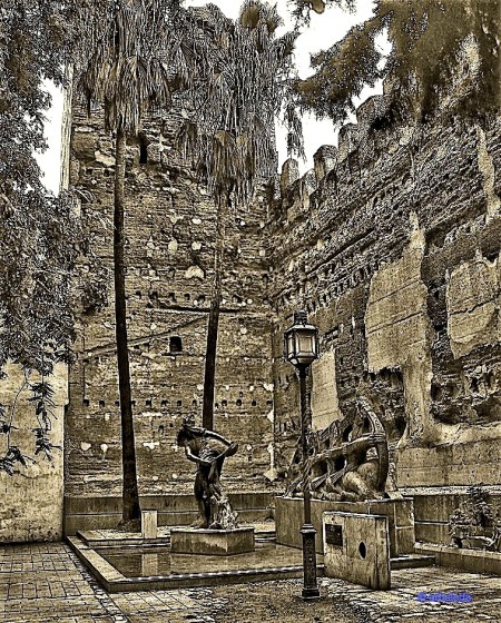 cabeza de vaca_lznNew