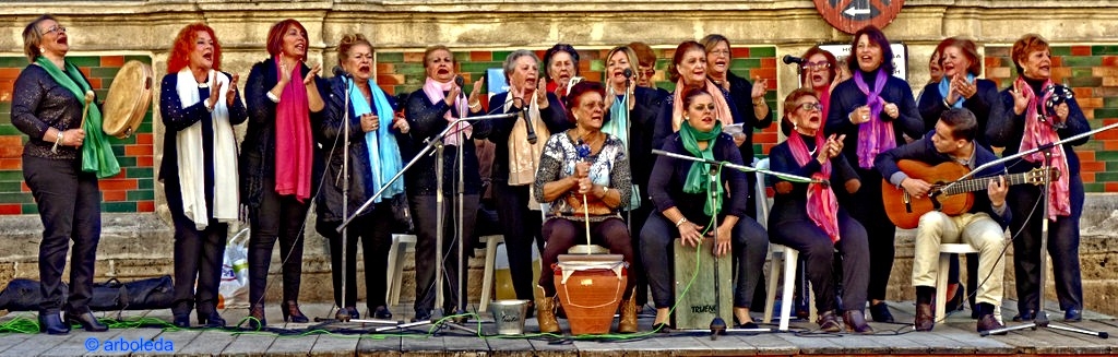 zambomba 28-11_lznNew