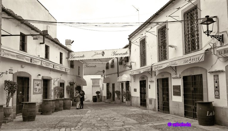 8 SEIS DE ENERO 2016_lzn