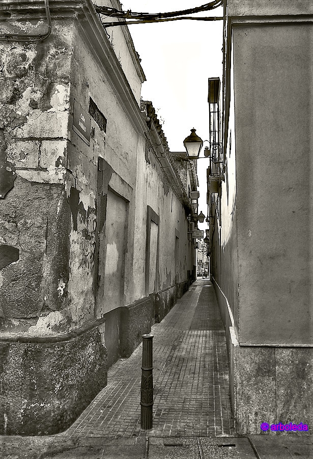 calle de las animas_lzn