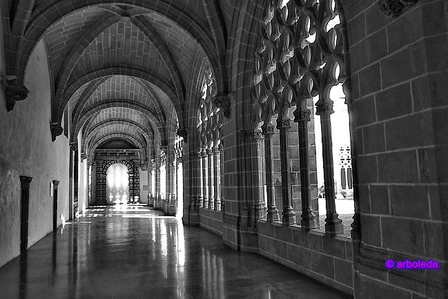 claustro 1_lzn