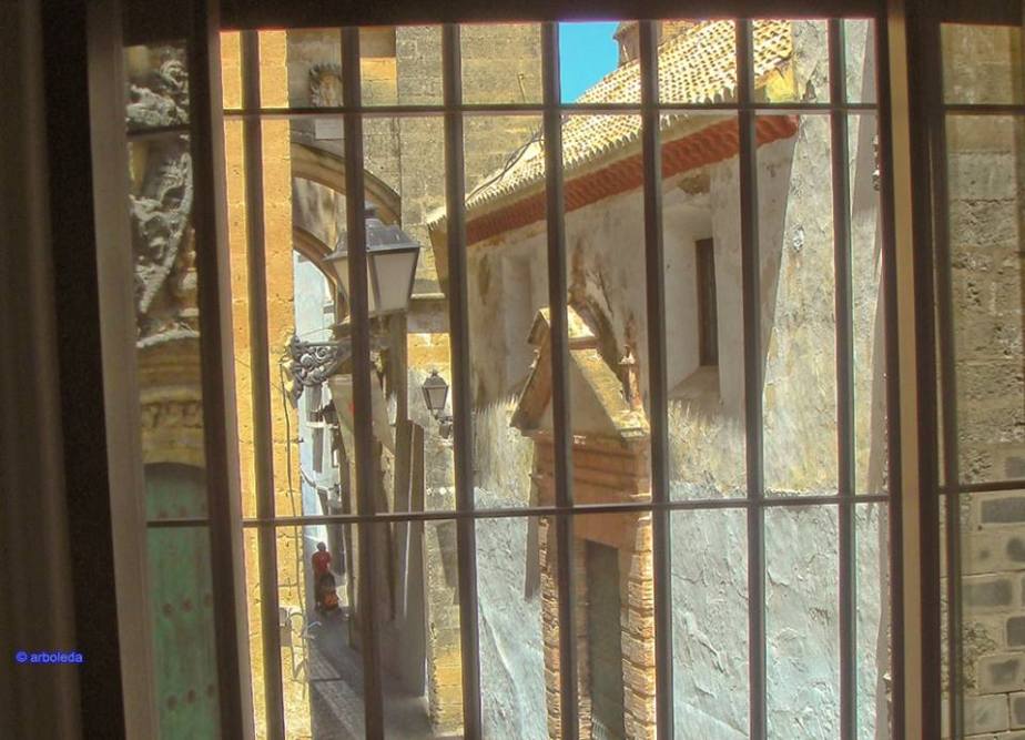 DESDE MI NUEVA VENTANA