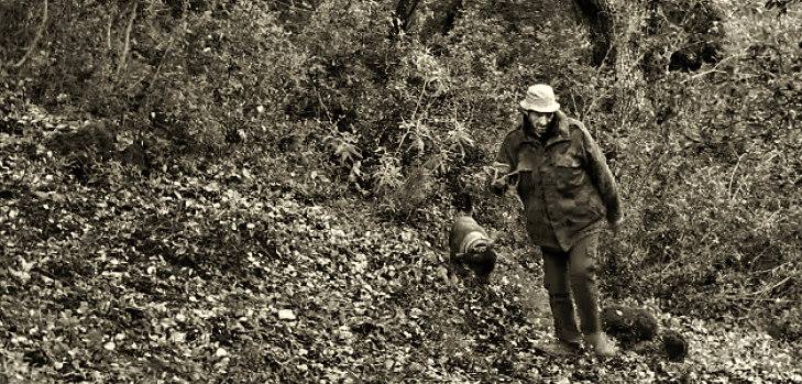 EL ÚLTIMO BANDOLERO