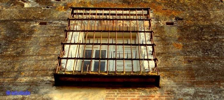 VIRGOS A BUEN RESGUARDO