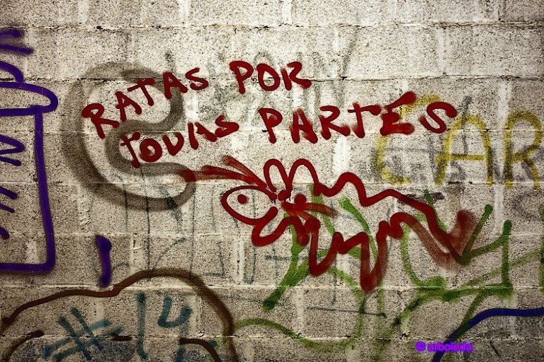 5 SEIS DE ENERO 2016_lzn