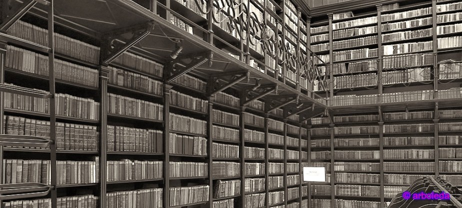 EN LA BIBLIOTECA 3_lzn