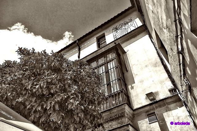 plaza-rivero-7_lznnew