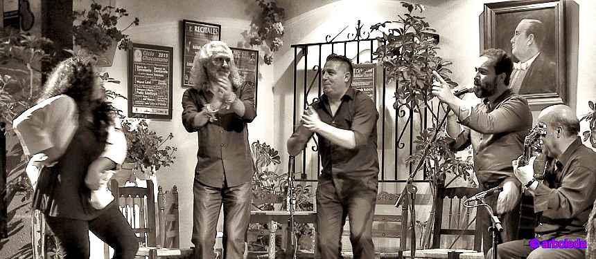 PEÑA FLAMENCA _lznNew