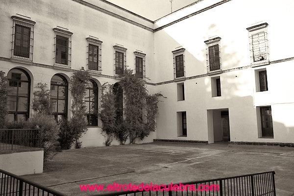 patio-de-los-locos-1_lznb